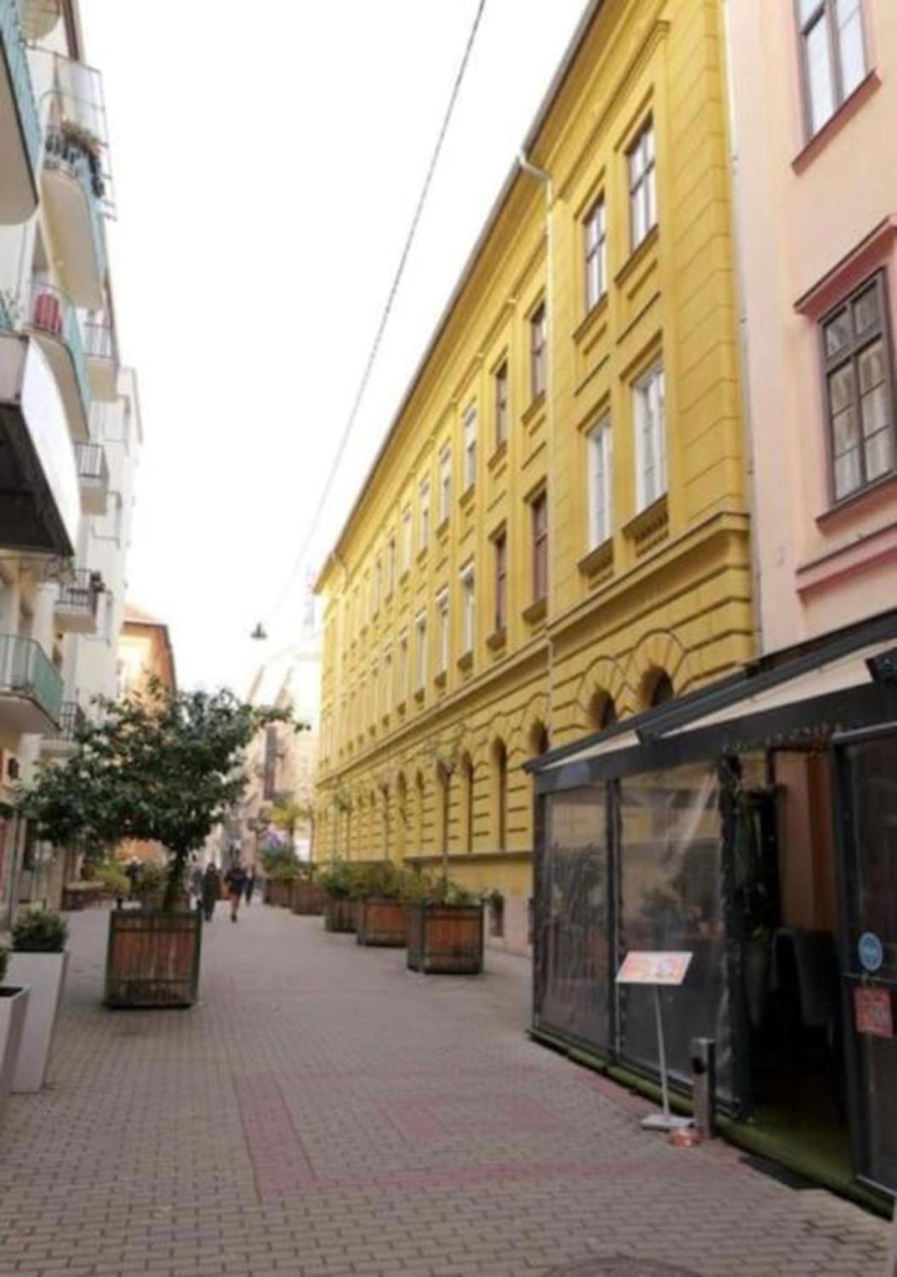 Premium Luxury Opera Near Opera And Basilica דירה